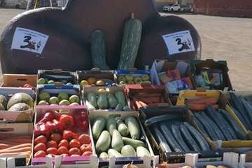 Romería de La Viña 2019 (Foto TA)